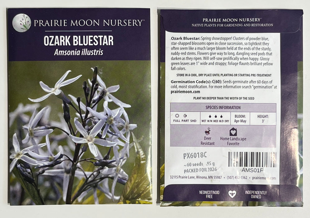 Seed Pack - Ozark Bluestar (Amsonia illustris)