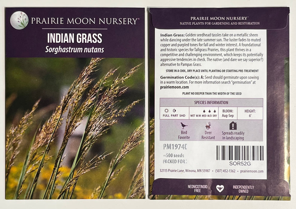 Seed Pack - Indian Grass (Sorghastrum nutans)