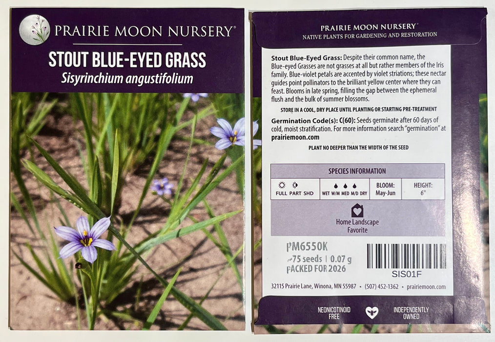 Seed Pack - Stout Blue-eyed Grass (Sisyrinchium angustifolium)