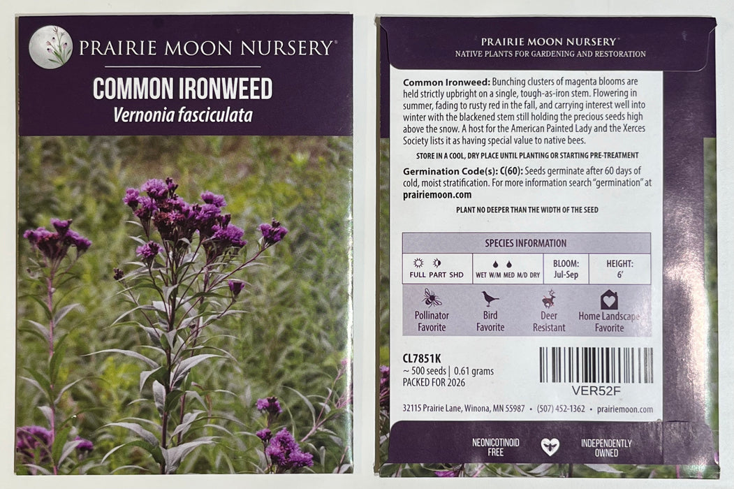 Seed Pack - Smooth Ironweed (Vernonia fasciculata)