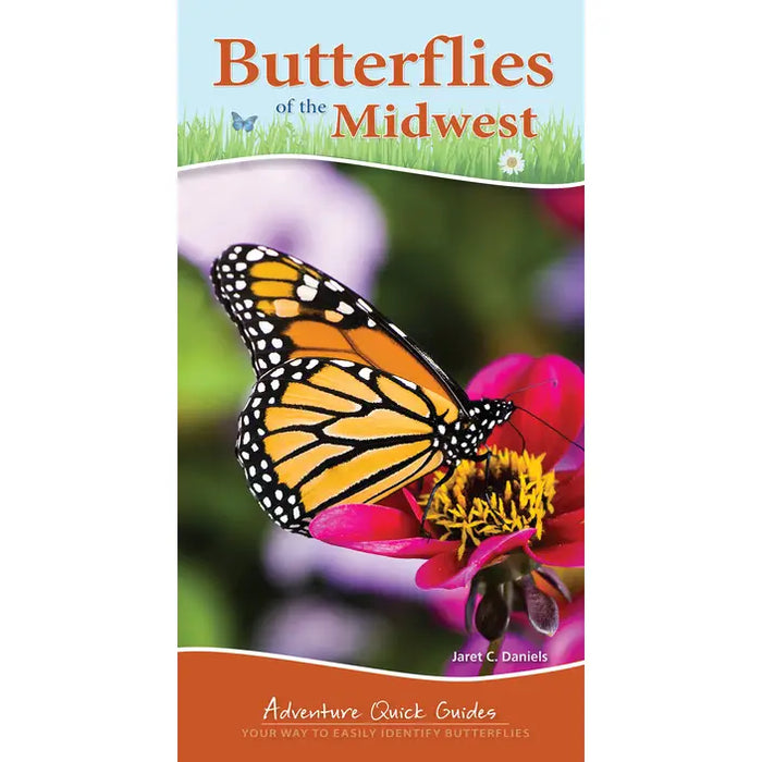 Butterflies of the Midwest by Janet C. Daniels