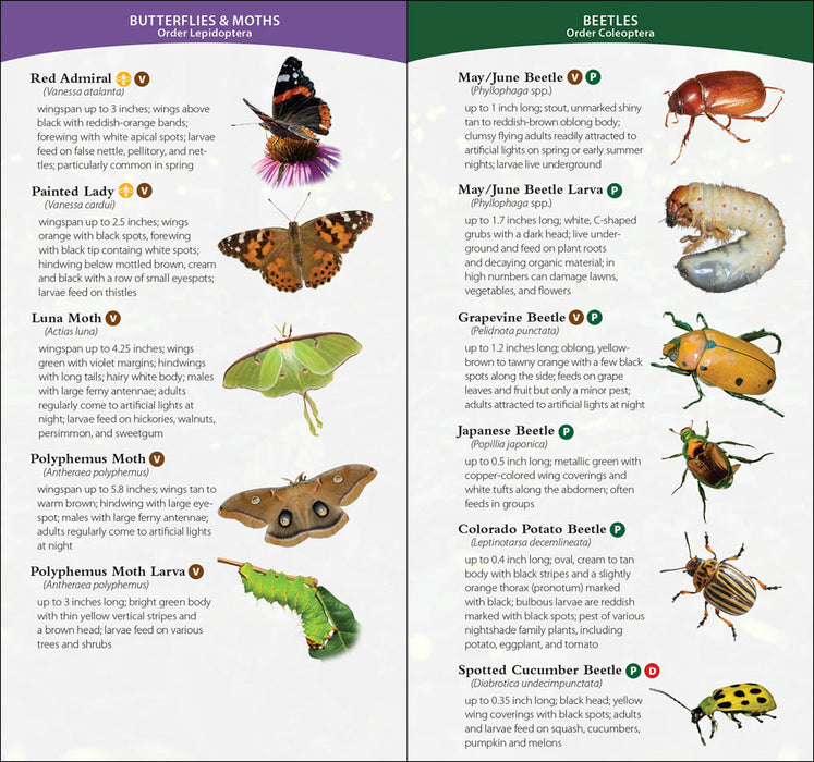 Garden Bugs & Insects of Midwest Quick Guide by Jaret C. Daniels