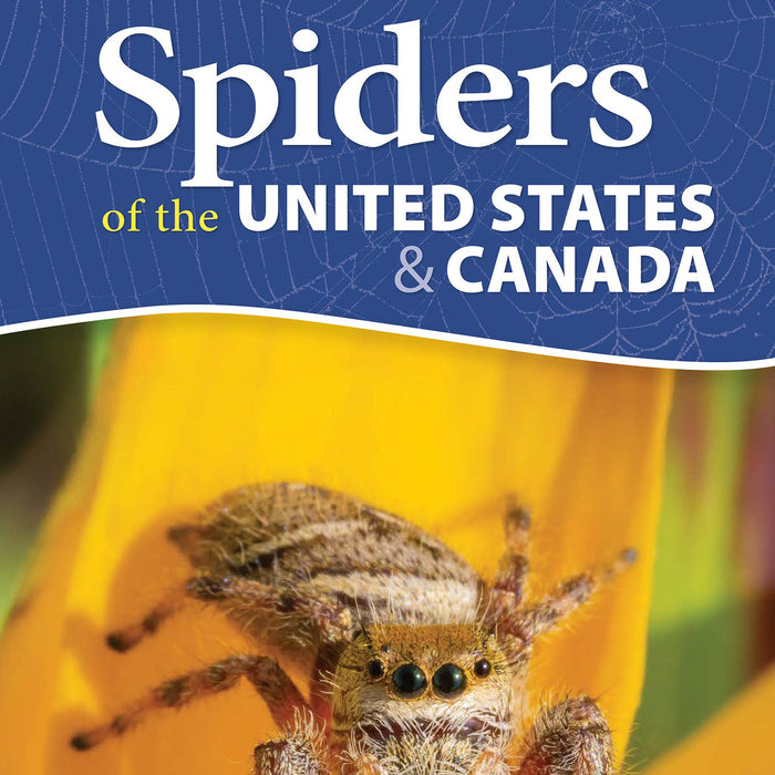 Spiders of the United States & Canada Quick Guide