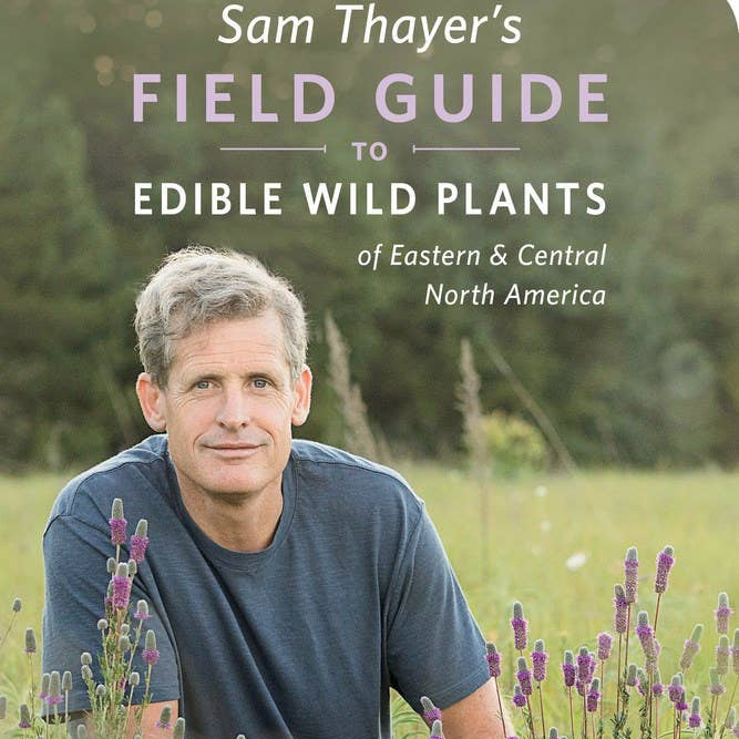 Sam Thayer's Field Guide to Edible Wild Plants
