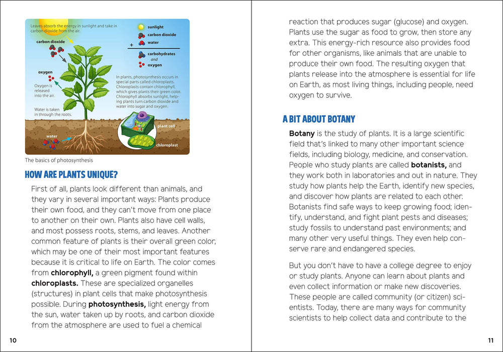 Pollinators & Native Plants for Kids