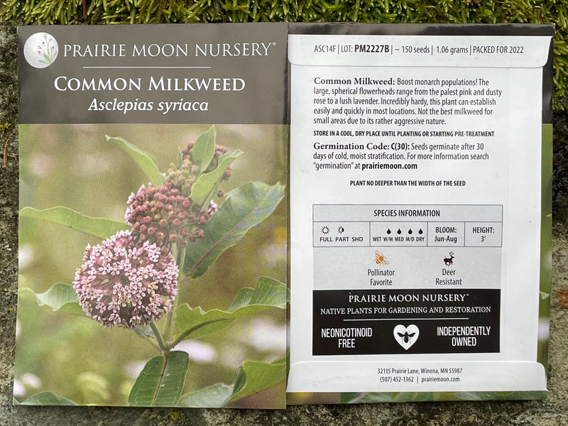 Seed Pack - Common Milkweed (Asclepias syriaca)