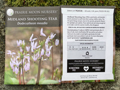 Seed Pack - Midland Shooting Star (Dodecatheon meadia)