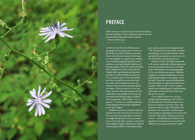 Wildflowers of the Midwest by Michael Homoya and Scott Namestnik