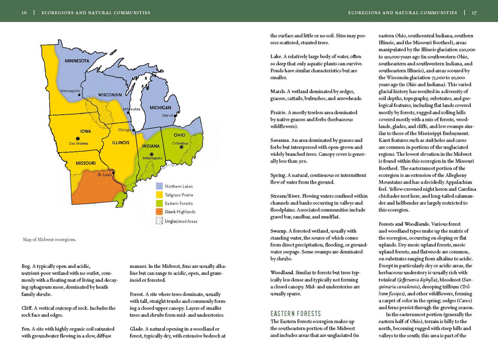 Wildflowers of the Midwest by Michael Homoya and Scott Namestnik