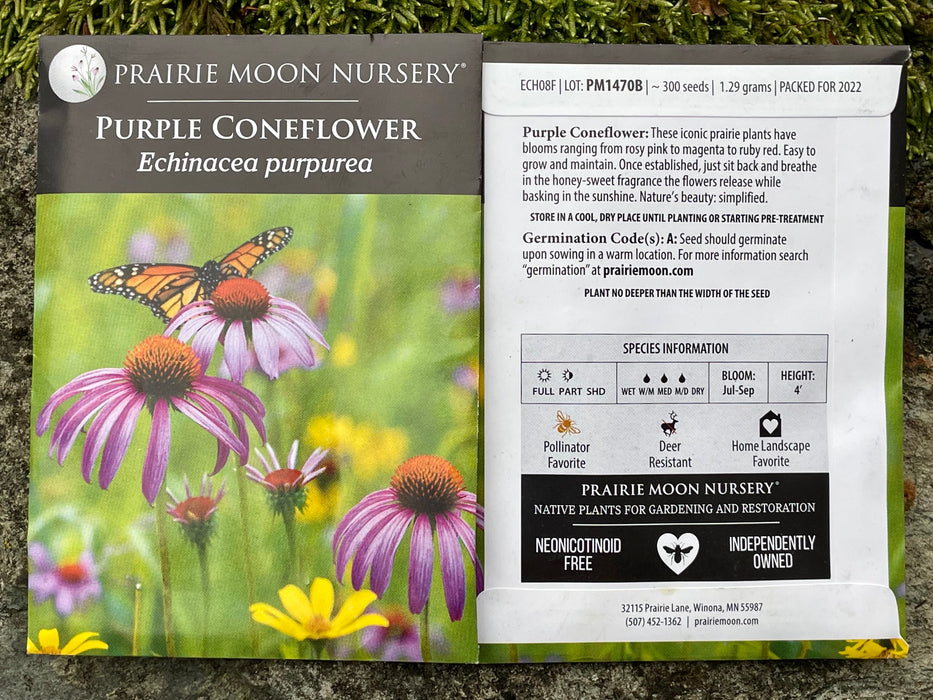 Seed Pack - Purple Coneflower (Echinacea purpurea)