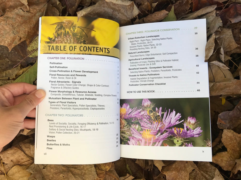 Pollinators of Native Plants by Heather Holm