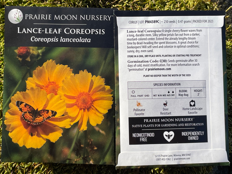 Seed Pack - Lance-leaf Coreopsis (Coreopsis lanceolata)