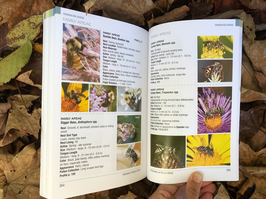 Pollinators of Native Plants by Heather Holm