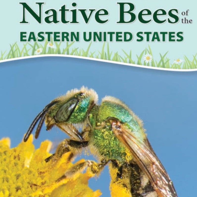 Common Native Bees of the Eastern United States Quick Guide by