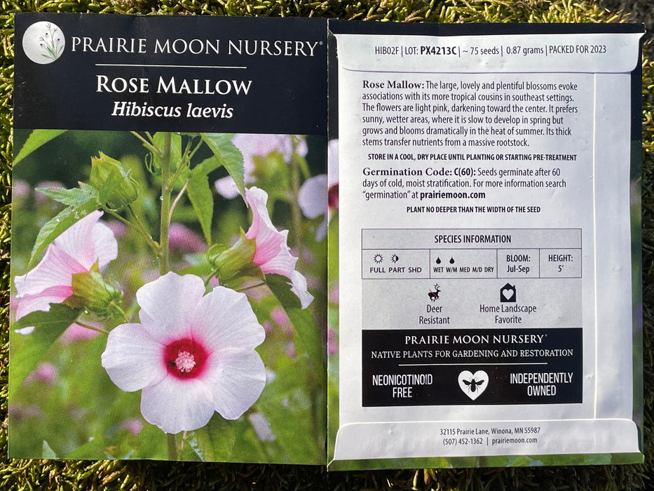 Seed Pack - Rose Mallow (Hibiscus laevis)