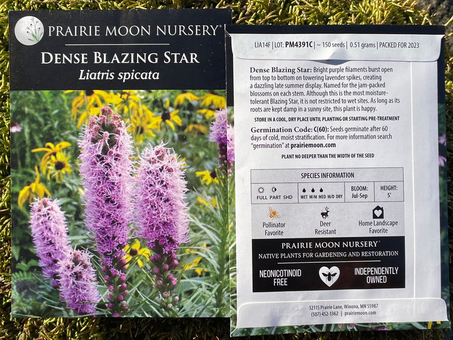 Seed Pack - Dense Blazing Star (Liatris spicata)