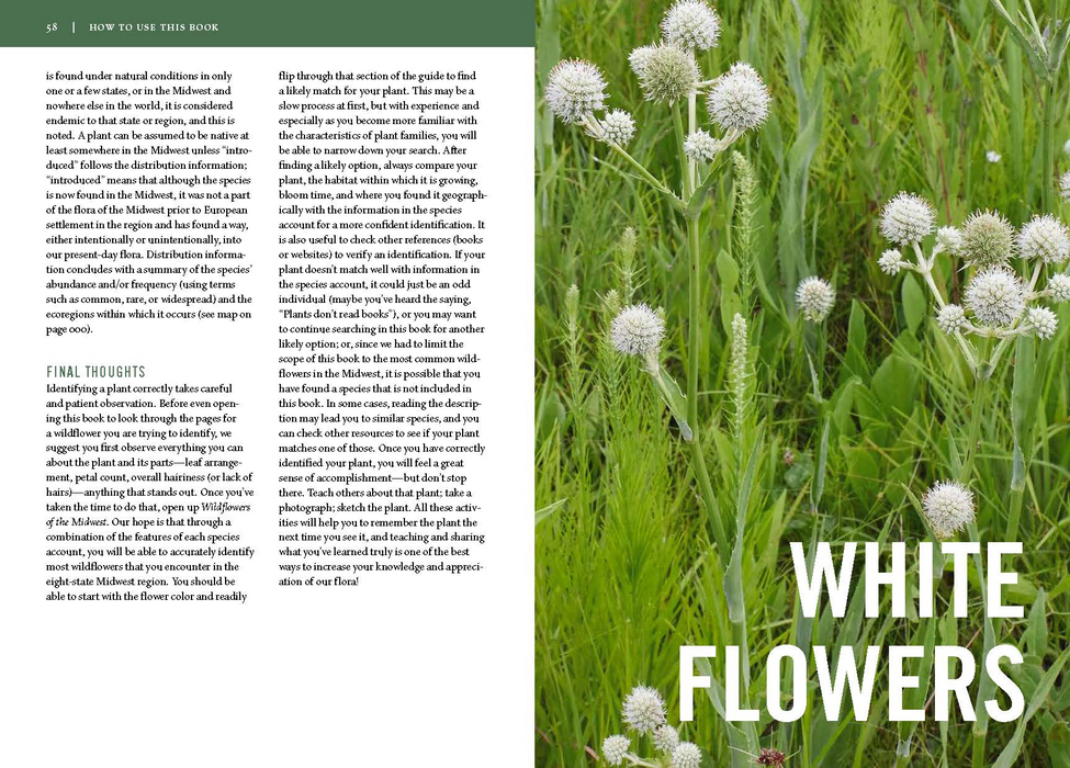 Wildflowers of the Midwest by Michael Homoya and Scott Namestnik