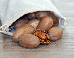 Northern Pecan (Carya illinoinensis)