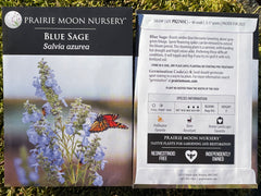 Seed Pack - Blue Sage (Salvia azurea)