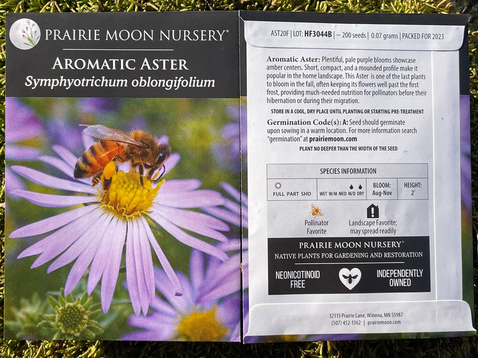 Seed Pack - Aromatic Aster (Symphyotrichum ablongifolium)