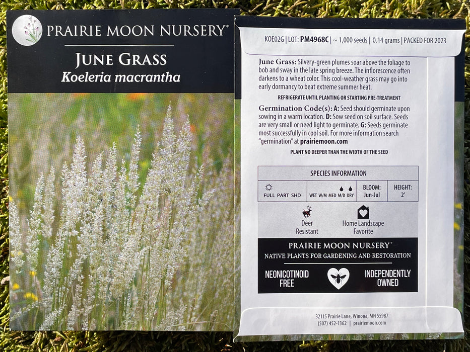 Seed Pack - June Grass (Koeleria macrantha)