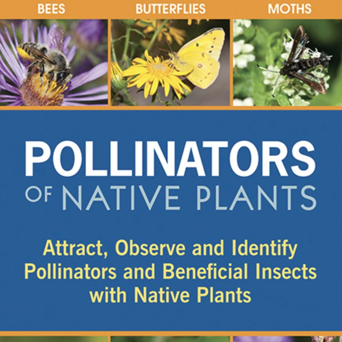 Pollinators of Native Plants by Heather Holm — Native Plants