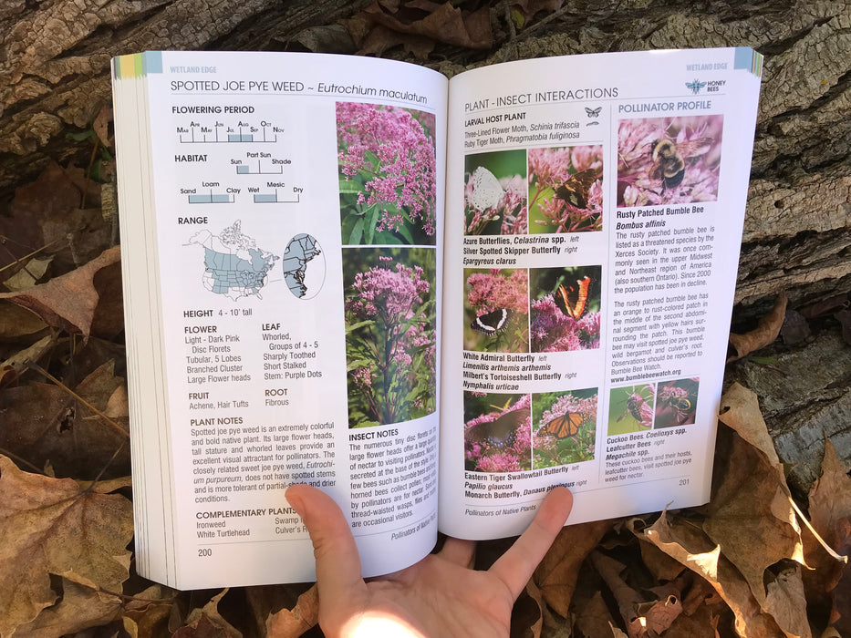 Pollinators of Native Plants by Heather Holm