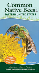 Common Native Bees of the Eastern United States by Heather Holm