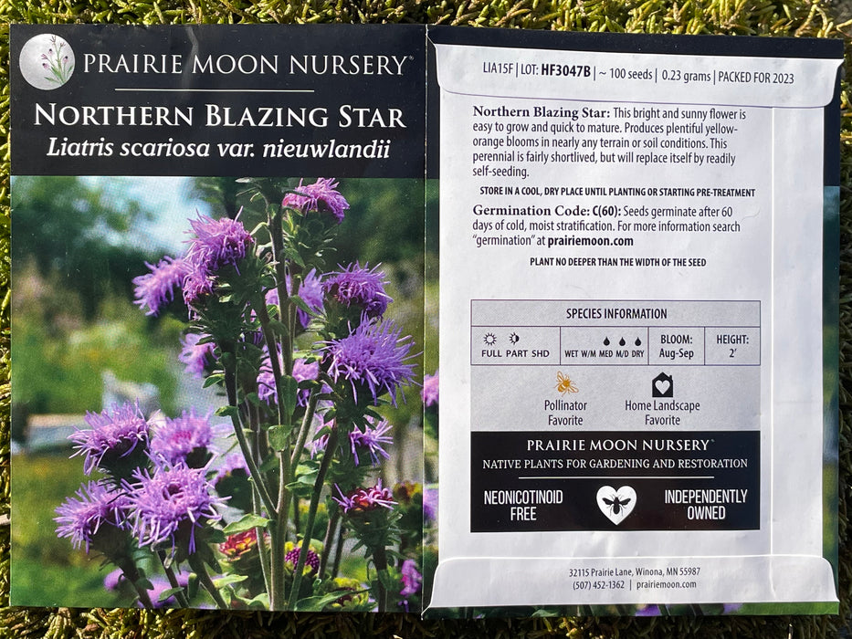 Seed Pack - Northern Blazing Star (Liatris scariosa var. nieulandii)