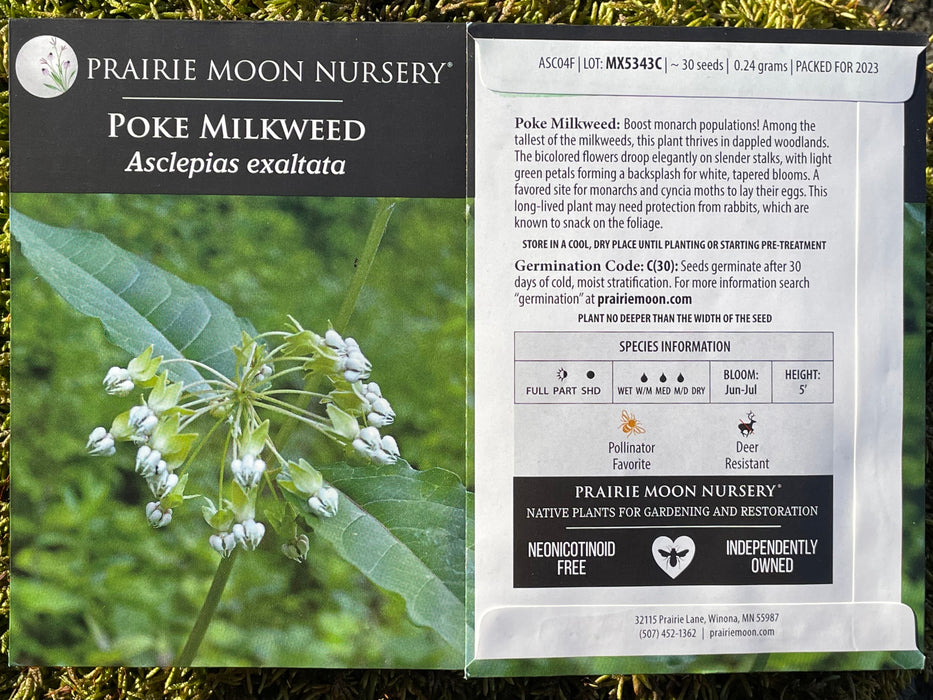 Seed Pack - Poke Milkweed (Asclepias exaltata)