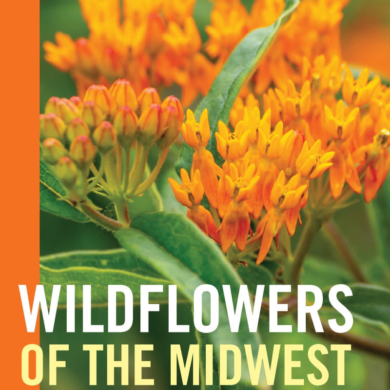 Wildflowers of the Midwest by Michael Homoya and Scott Namestnik