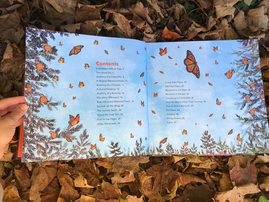 Monarch Butterflies by Ann Hobbie