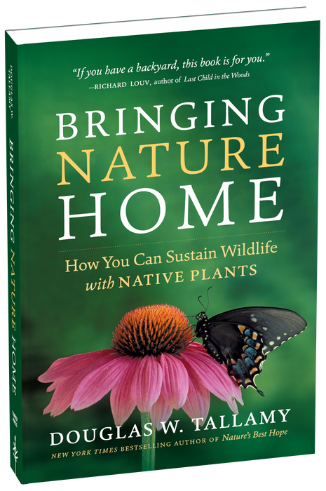 Bringing Nature Home by Douglas W. Tallamy