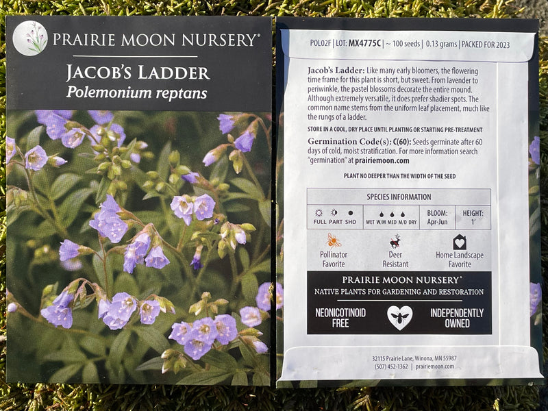 Seed Pack - Jacob’s Ladder (Polemonium reptans)
