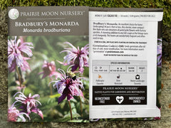 Seed Pack - Bradbury’s Monarda (Monarda bradburiana)