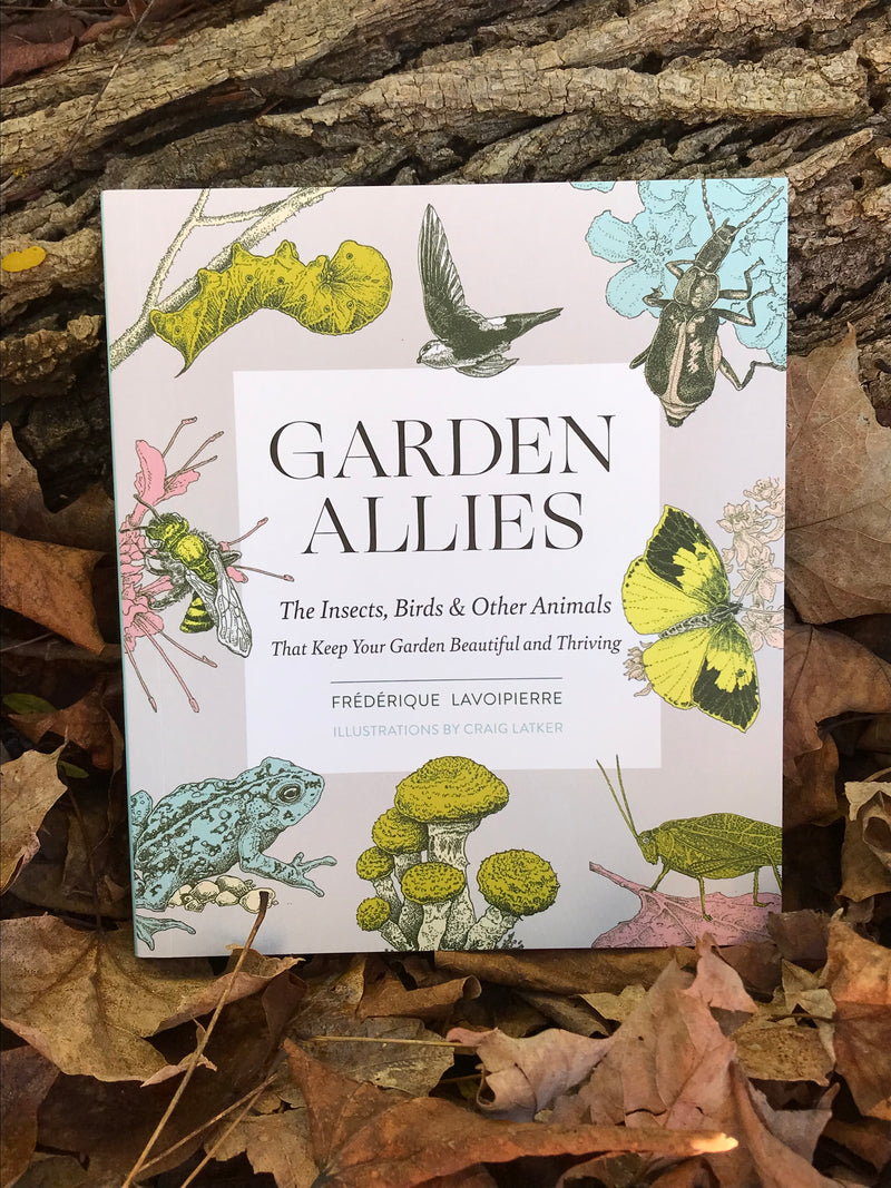 Garden Allies by Frédérique Lavoipierre