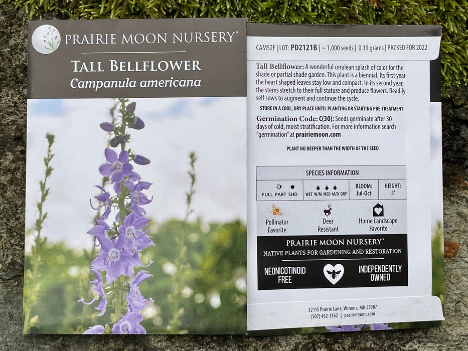 Seed Pack - Tall Bellflower (Campanula americana)