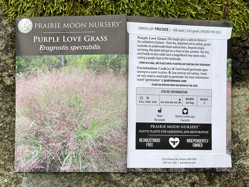 Seed Pack - Purple Lovegrass (Eragrostis spectabilis)