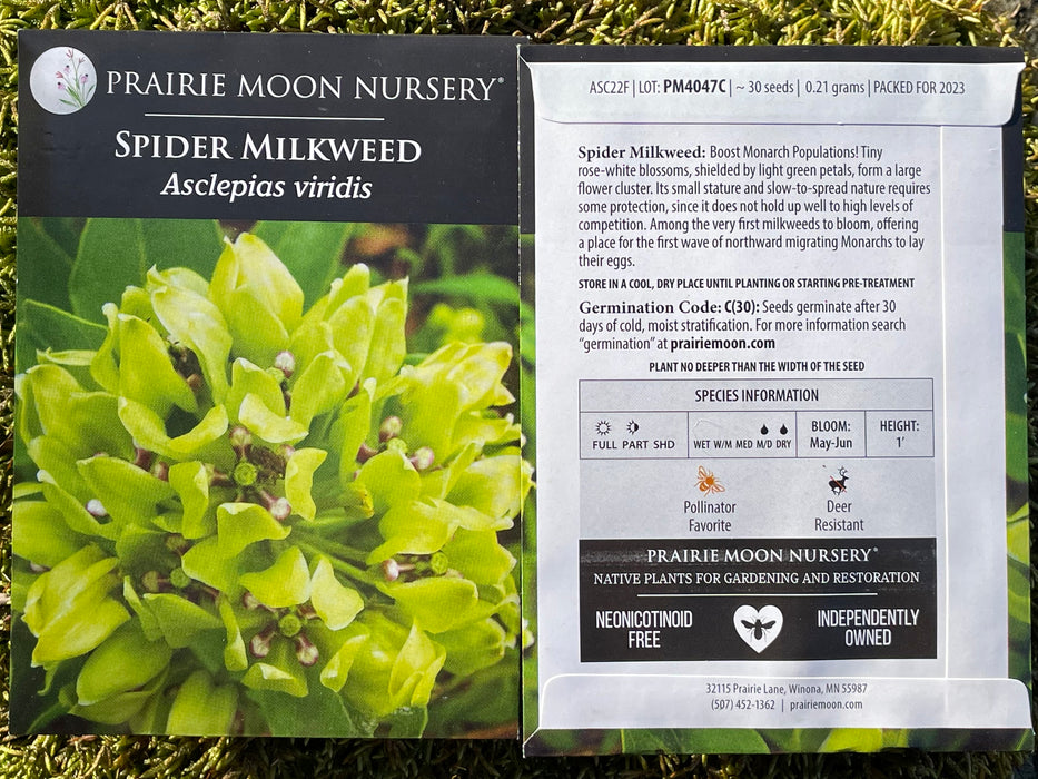 Seed Pack - Spider Milkweed (Asclepias viridis)