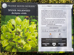Seed Pack - Spider Milkweed (Asclepias veritus)