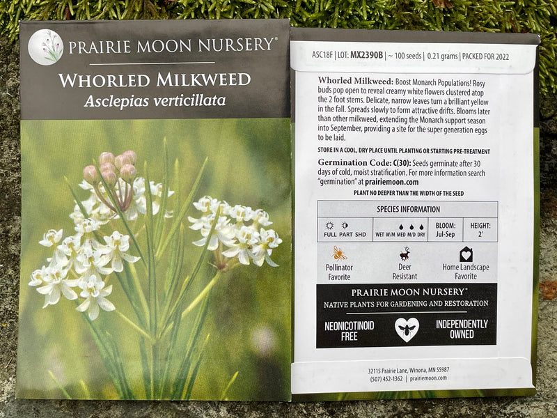Seed Pack - Whorled Milkweed (Asclepias verticillata)