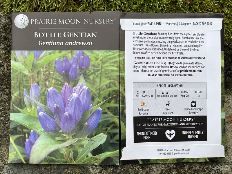 Seed Pack - Bottle Gentian (Gentiana andrewsii)